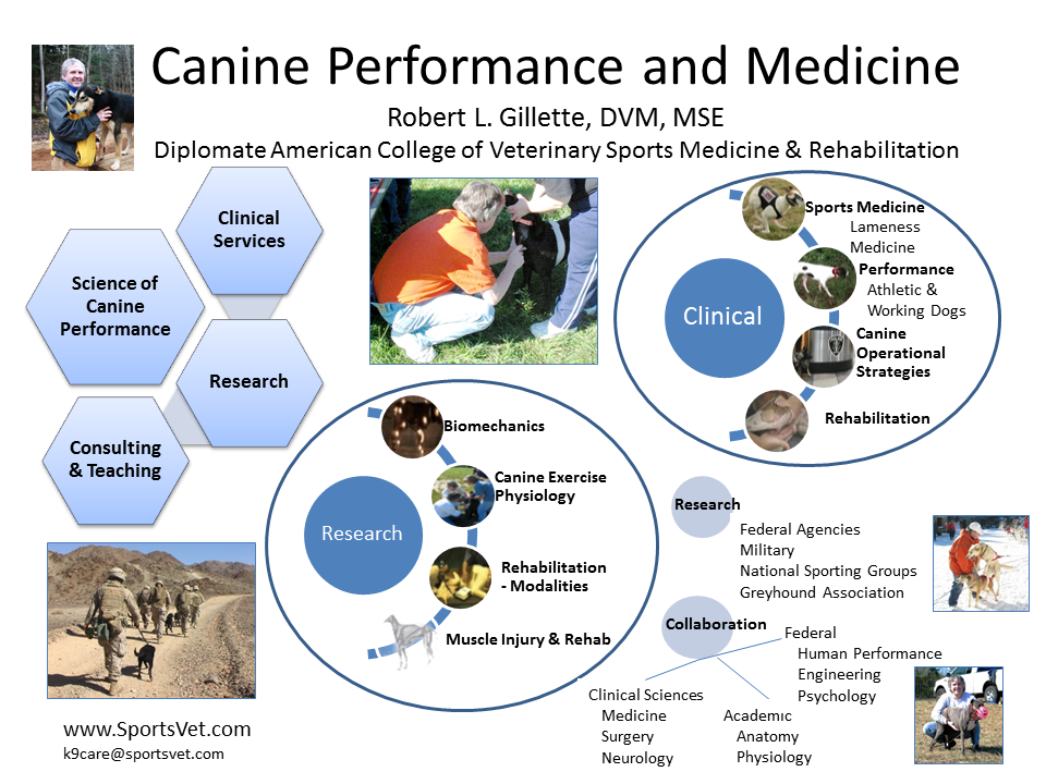 Canine Performance & Medicine