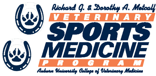 Richard G. & Dorthy A. Metcalf Veterinary Sports Medicine Program