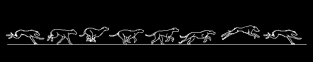 Dog Running, Sequence of Gait