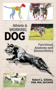 The Athletic and Working Dog: Functional Anatomy and Biomechanics