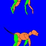 Course 3 – Gait Analysis for the Performance Dog