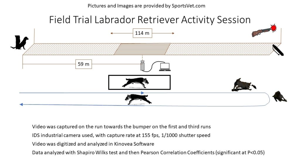 RGH versus FTLR Velocity Factors