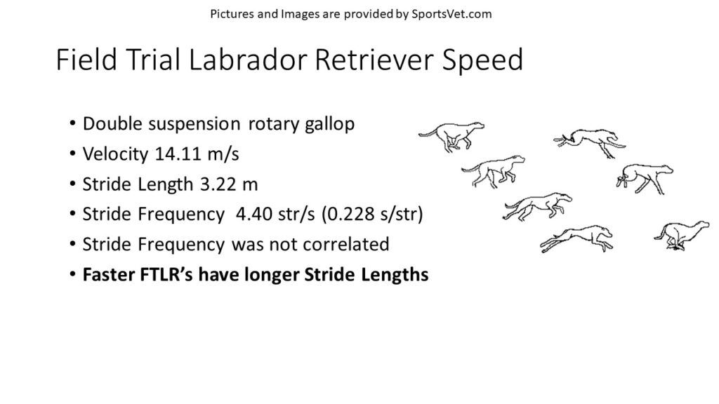RGH versus FTLR Velocity Factors