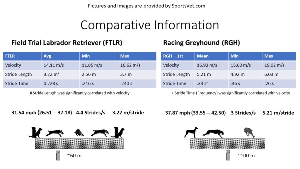 RGH versus FTLR Velocity Factors