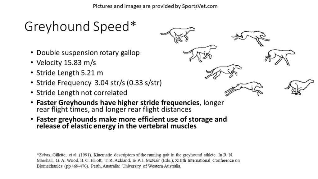 RGH versus FTLR Velocity Factors