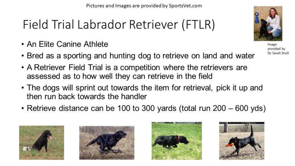 RGH versus FTLR Velocity Factors