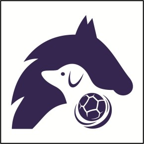 Athletic Sports Video App