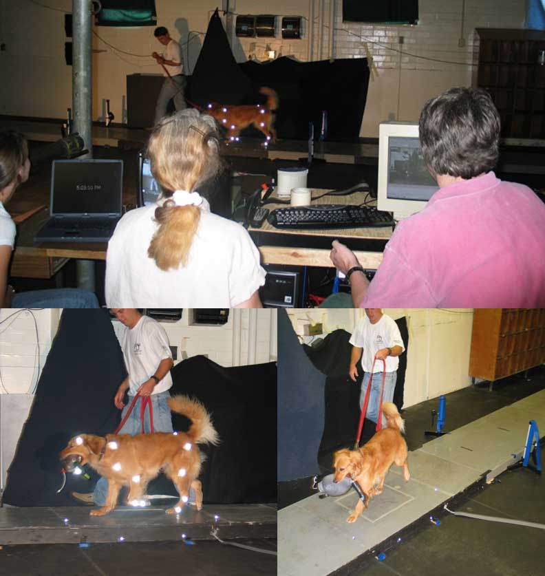 RMG Enterprises Inc - Rob Gillette, SportsVet.com