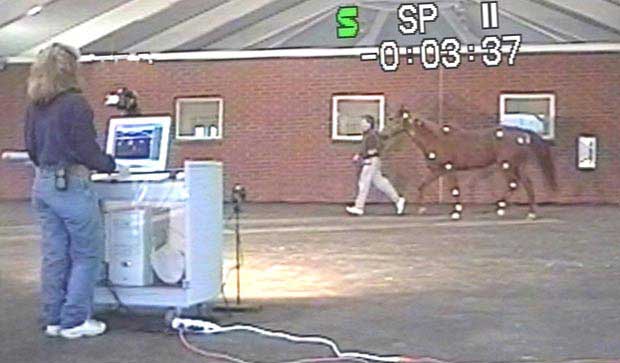 RMG Enterprises Inc - Rob Gillette, SportsVet.com