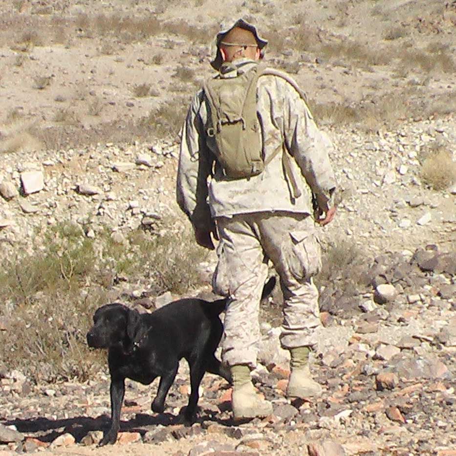 RMG Enterprises Inc - Rob Gillette, SportsVet.com