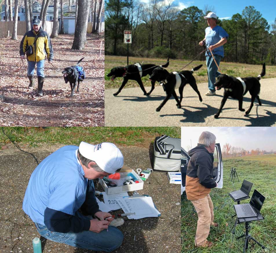 RMG Enterprises Inc - Rob Gillette, SportsVet.com