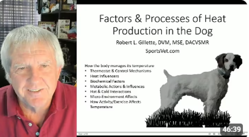 Factors and Processes of Heat Production in the Dog: A Discussion on Ways to Prevent Overheating in Athletic and Working Dogs